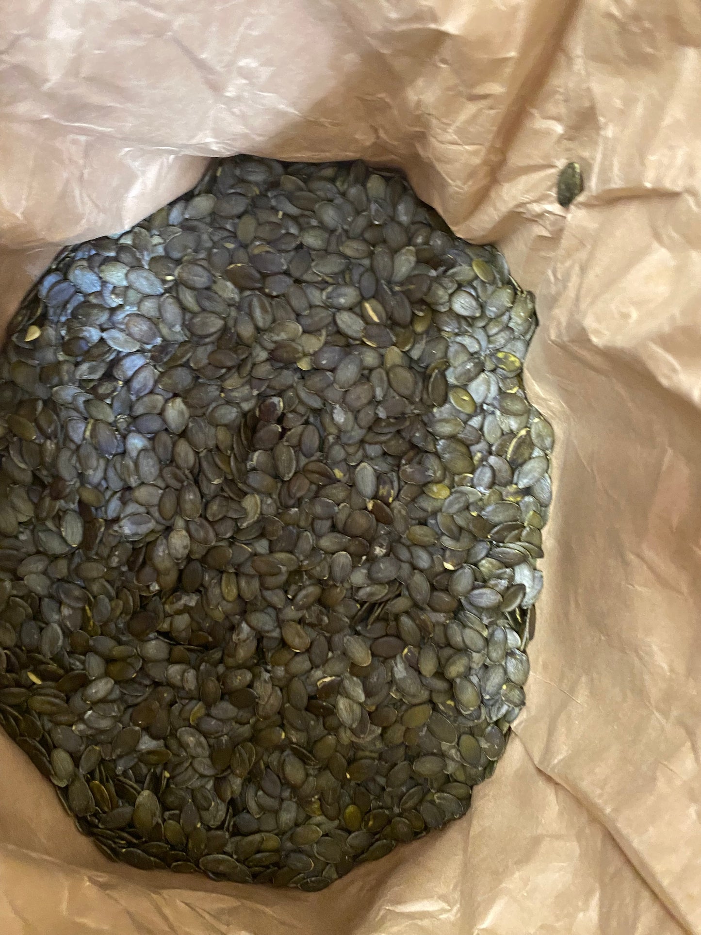 Kürbiskerne 3 kg, geschält, naturbelassen, GWS AAA