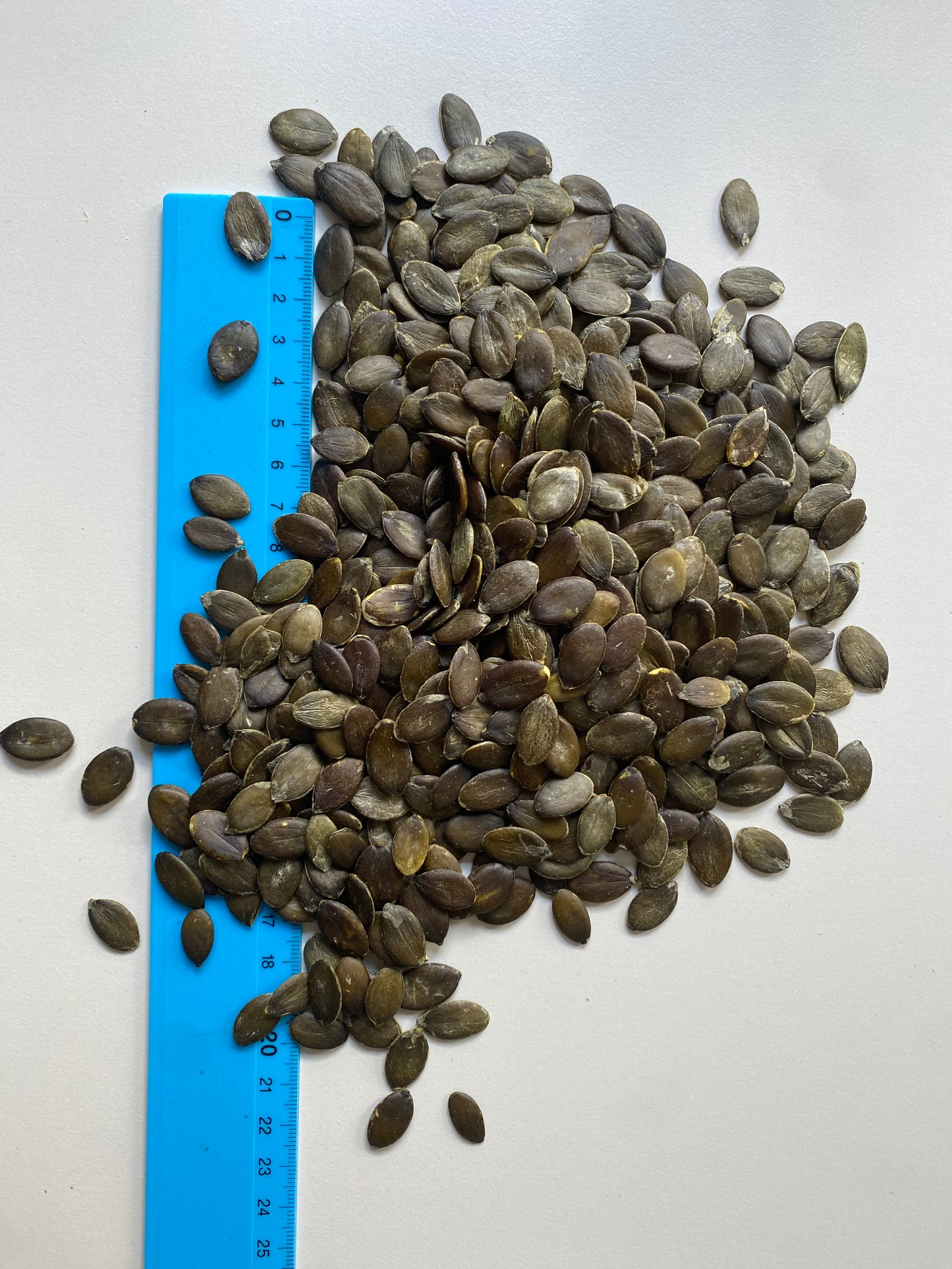 Kürbiskerne 3 kg, geschält, naturbelassen, GWS AAA